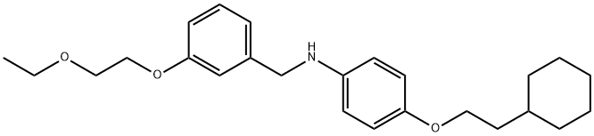 N-[4-(2-Cyclohexylethoxy)phenyl]-N-[3-(2-ethoxyethoxy)benzyl]amine|