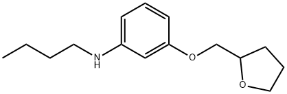 N-Butyl-3-(tetrahydro-2-furanylmethoxy)aniline Struktur