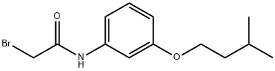 2-Bromo-N-[3-(isopentyloxy)phenyl]acetamide,1138442-34-8,结构式