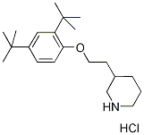 3-{2-[2,4-Di(tert-butyl)phenoxy]ethyl}piperidinehydrochloride Structure