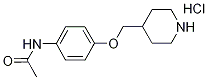 N-[4-(4-Piperidinylmethoxy)phenyl]acetamidehydrochloride Structure