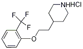 4-{2-[2-(Trifluoromethyl)phenoxy]ethyl}piperidinehydrochloride|