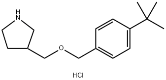 1219980-75-2 4-(tert-Butyl)benzyl 3-pyrrolidinylmethyl etherhydrochloride