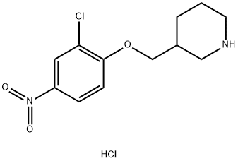 3-[(2-Chloro-4-nitrophenoxy)methyl]piperidinehydrochloride 化学構造式