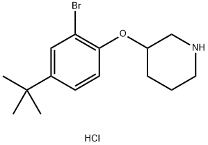 3-[2-Bromo-4-(tert-butyl)phenoxy]piperidinehydrochloride 结构式