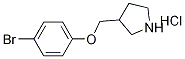 3-[(4-Bromophenoxy)methyl]pyrrolidinehydrochloride Structure