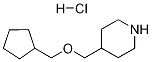 4-[(シクロペンチルメトキシ)メチル]ピペリジン塩酸塩 化学構造式