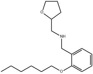 1040692-60-1 [2-(Hexyloxy)phenyl]-N-(tetrahydro-2-furanylmethyl)methanamine