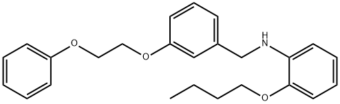 2-Butoxy-N-[3-(2-phenoxyethoxy)benzyl]aniline Structure