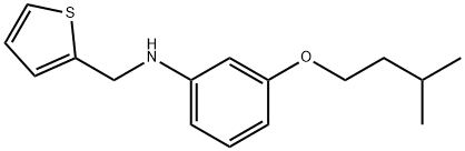 3-(Isopentyloxy)-N-(2-thienylmethyl)aniline Structure