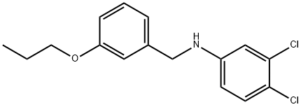 1040689-15-3 3,4-Dichloro-N-(3-propoxybenzyl)aniline