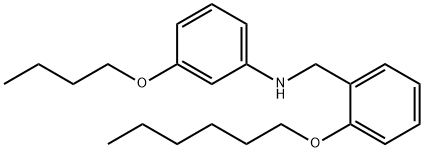 3-Butoxy-N-[2-(hexyloxy)benzyl]aniline 化学構造式