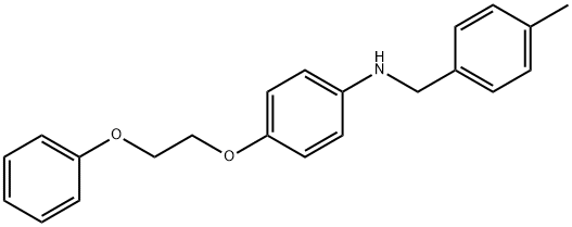 1040690-97-8 N-(4-Methylbenzyl)-4-(2-phenoxyethoxy)aniline