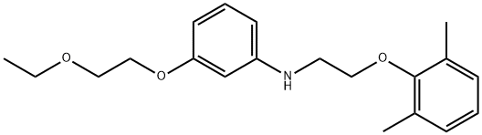 N-[2-(2,6-Dimethylphenoxy)ethyl]-3-(2-ethoxyethoxy)aniline 结构式