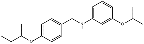 N-[4-(sec-Butoxy)benzyl]-3-isopropoxyaniline,1040684-82-9,结构式