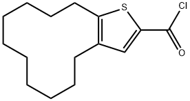 4,5,6,7,8,9,10,11,12,13-十氢环十二[B]噻吩-2-甲酰氯,1160249-29-5,结构式