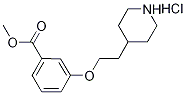 Methyl 3-[2-(4-piperidinyl)ethoxy]benzoatehydrochloride Structure