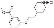 Methyl 3-[2-(4-piperidinyl)ethoxy]benzoatehydrochloride,1220031-85-5,结构式