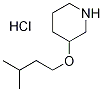 3-(Isopentyloxy)piperidine hydrochloride Structure