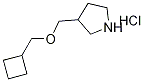 シクロブチルメチル3-ピロリジニルメチルエーテル塩酸塩 化学構造式