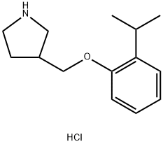 3-[(2-Isopropylphenoxy)methyl]pyrrolidinehydrochloride,1220028-81-8,结构式