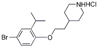 1219982-85-0 4-[2-(4-Bromo-2-isopropylphenoxy)ethyl]piperidinehydrochloride