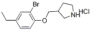 1219948-99-8 3-[(2-Bromo-4-ethylphenoxy)methyl]pyrrolidinehydrochloride