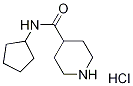 N-Cyclopentyl-4-piperidinecarboxamidehydrochloride Struktur