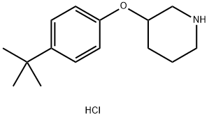 3-(4-(叔丁基)苯氧基)哌啶盐酸盐 结构式