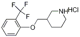 3-{[2-(Trifluoromethyl)phenoxy]methyl}piperidinehydrochloride|