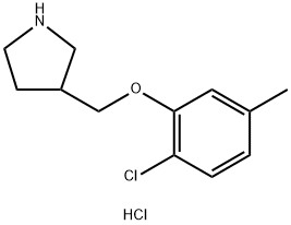 2-Chloro-5-methylphenyl 3-pyrrolidinylmethylether hydrochloride Structure