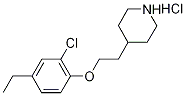 4-[2-(2-Chloro-4-ethylphenoxy)ethyl]piperidinehydrochloride Struktur