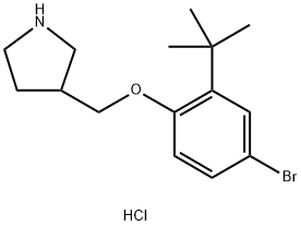 4-Bromo-2-(tert-butyl)phenyl 3-pyrrolidinylmethyl-ether hydrochloride Structure