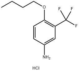 4-BUTOXY-3-(TRIFLUOROMETHYL)ANILINE HYDROCHLORIDE Struktur