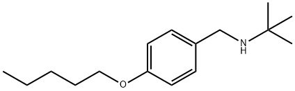2-Methyl-N-[4-(pentyloxy)benzyl]-2-propanamine Struktur