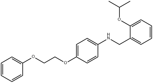 N-(2-Isopropoxybenzyl)-4-(2-phenoxyethoxy)aniline 结构式