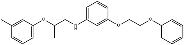 N-[2-(3-Methylphenoxy)propyl]-3-(2-phenoxyethoxy)aniline 结构式