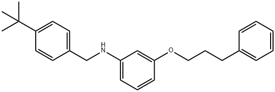 N-[4-(tert-Butyl)benzyl]-3-(3-phenylpropoxy)-aniline,1040690-48-9,结构式