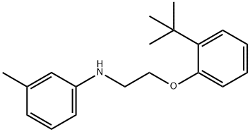 N-{2-[2-(tert-Butyl)phenoxy]ethyl}-3-methylaniline Struktur