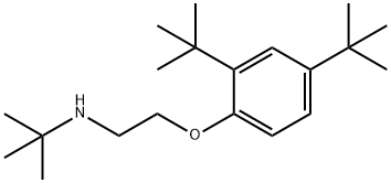 N-{2-[2,4-Di(tert-butyl)phenoxy]ethyl}-2-methyl-2-propanamine,1040689-97-1,结构式
