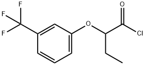 2-[3-(trifluoromethyl)phenoxy]butanoyl chloride