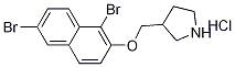 3-{[(1,6-Dibromo-2-naphthyl)oxy]-methyl}pyrrolidine hydrochloride Structure