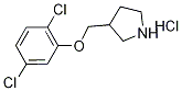 3-[(2,5-Dichlorophenoxy)methyl]pyrrolidinehydrochloride|