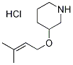 3-[(3-Methyl-2-butenyl)oxy]piperidinehydrochloride|