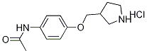 N-[4-(3-Pyrrolidinylmethoxy)phenyl]acetamidehydrochloride,1219961-15-5,结构式