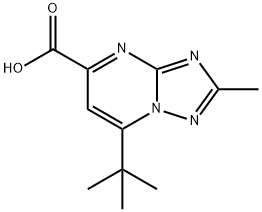 7-tert-Butyl-2-methyl-[1,2,4]triazolo[1,5-a]-pyrimidine-5-carboxylic acid|7-叔丁基-2-甲基-[1,2,4]三唑并[1,5-A]嘧啶-5-羧酸