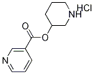 3-Piperidinyl nicotinate hydrochloride,1219981-06-2,结构式