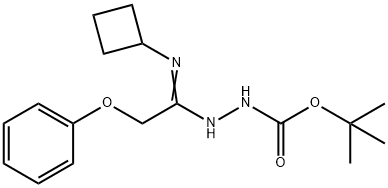 N'-[1-Cyclobutylamino-2-phenoxyethylidene]-hydrazinecarboxylic acid tert-butyl ester Struktur
