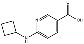6-(Cyclobutylamino)nicotinic acid Structure