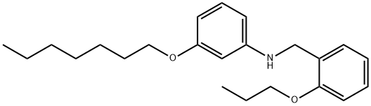 3-(Heptyloxy)-N-(2-propoxybenzyl)aniline 化学構造式